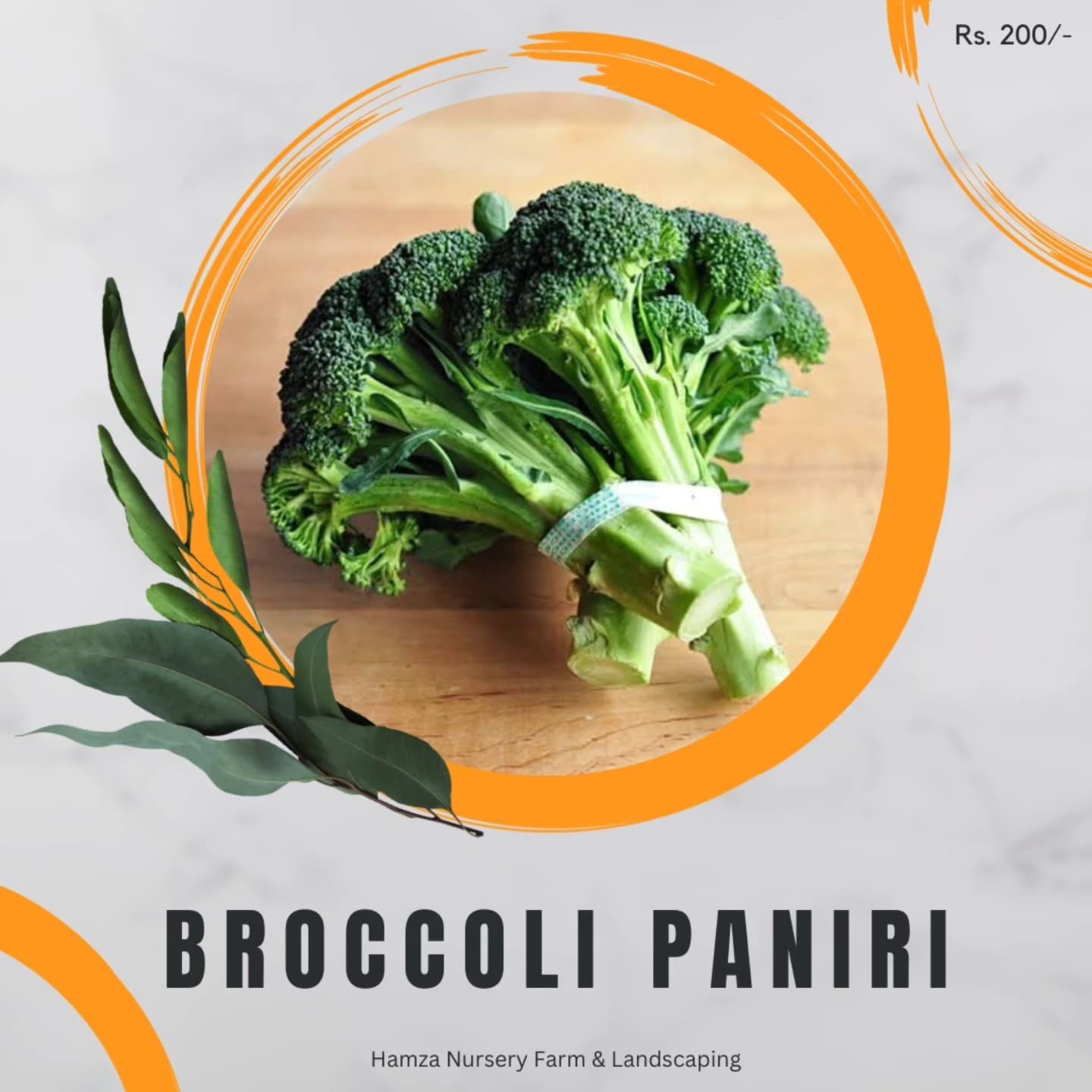 Winter Vegetables